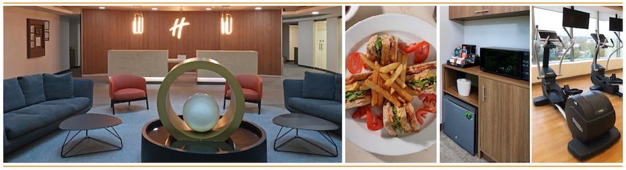 Holiday Inn - Hospital Mdica Sur